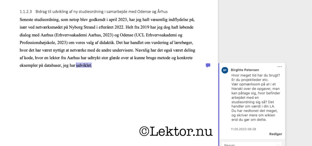 Manglende beskrivelse af de rammer, der var sat op for projektet