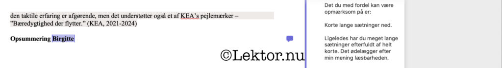 Hiim og Hippe - mål
En adjunkts favorit fejltagelse, her er det meget lange sætninger efterfulgt af helt korte sætninger