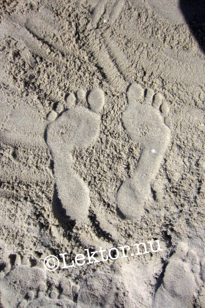 Analogien i mellem skolæster og et fast sideantal i en lektoranmodning