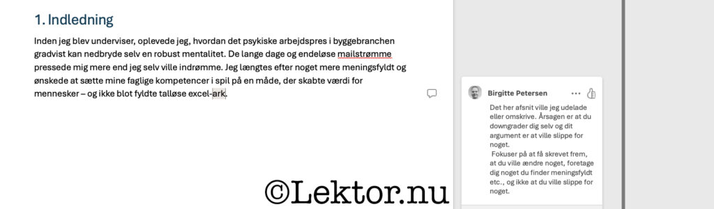 Sprog - en for ærlig adjunkt i sin lektoranmodning